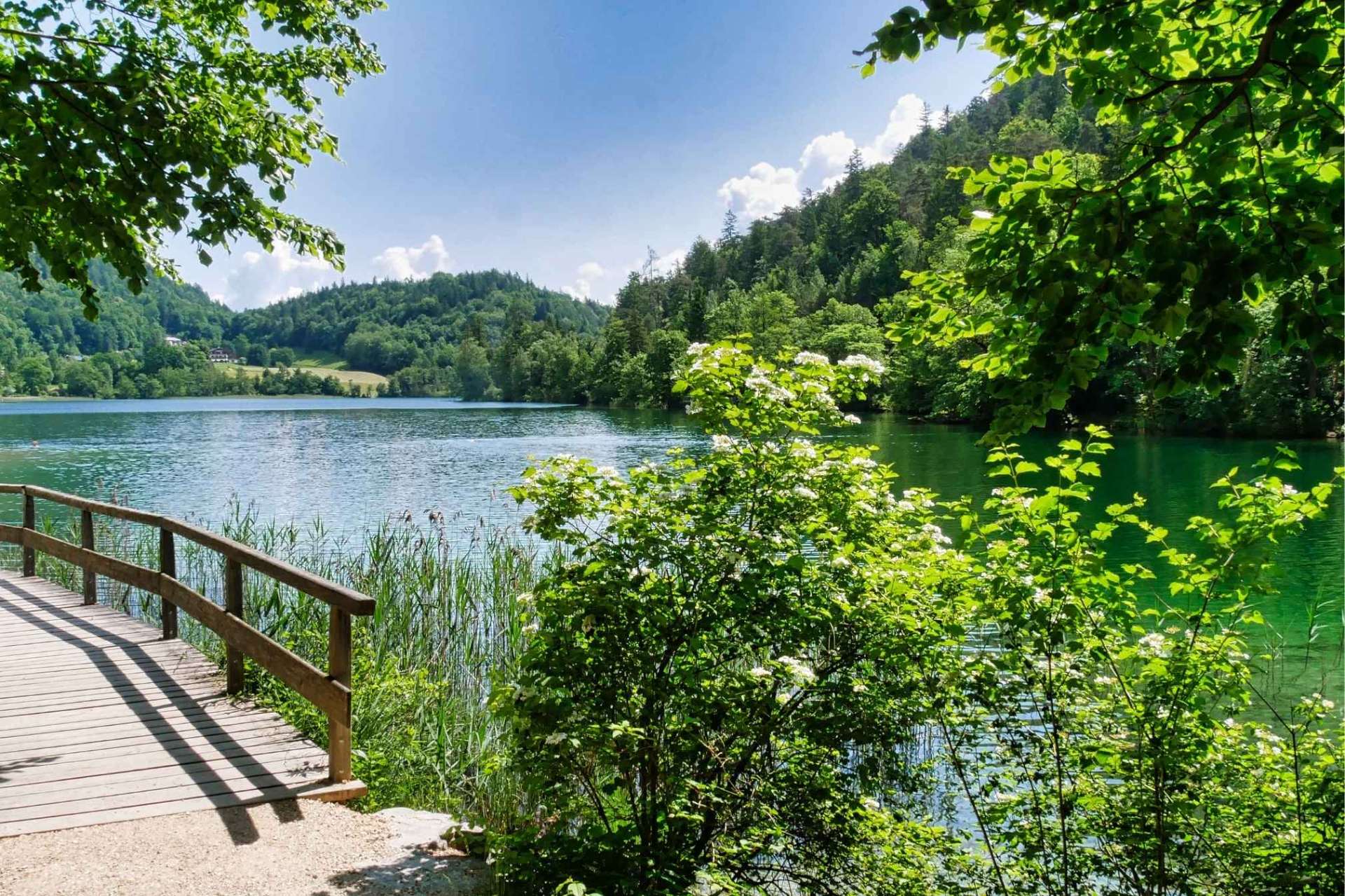 Holzsteg am Bergsee